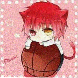 影迷小熊猫